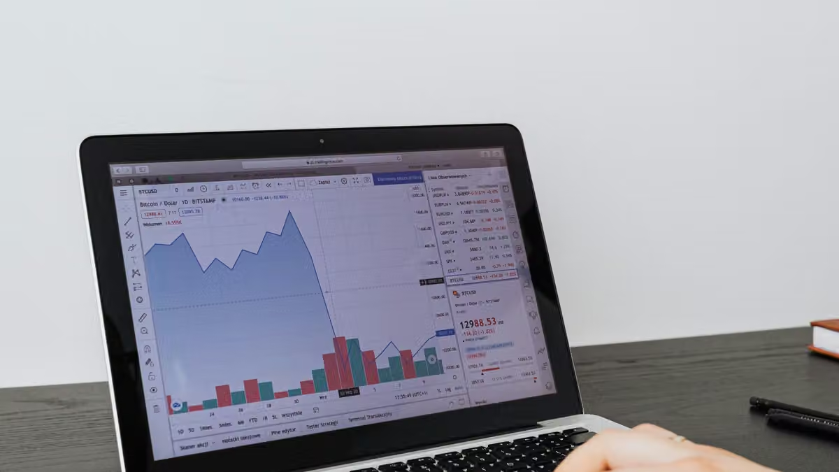 Target market is people with disposable income for investments
