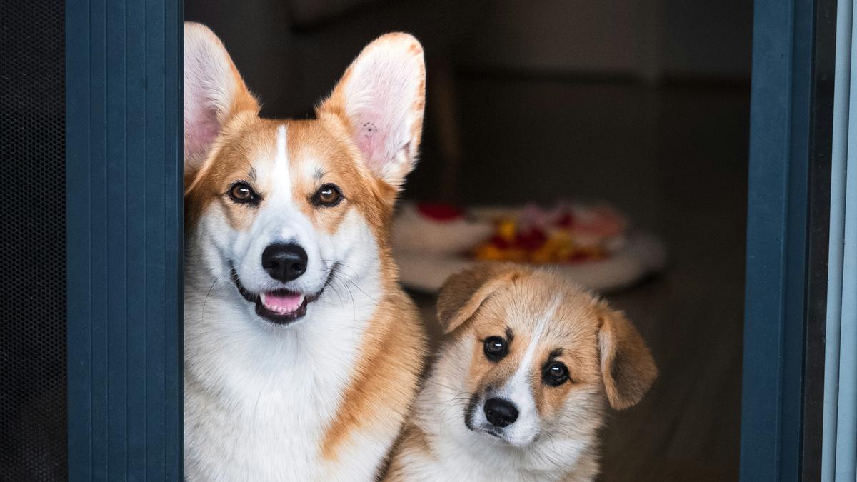 Credit Score Myths That Cost Buyers Real Money